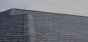 Neil Jones Carpentry - Custom Builder in Denton, Maryland