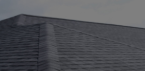 Neil Jones Carpentry - Custom Builder in Denton, Maryland