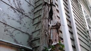 Neil Jones Carpentry - Custom Builder in Denton, Maryland