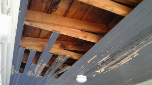 Neil Jones Carpentry - Custom Builder in Denton, Maryland