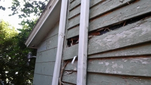 Neil Jones Carpentry - Custom Builder in Denton, Maryland
